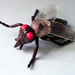 Small_square_fly-plastic-f1662