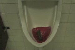 Medium_urinal-poop-prank